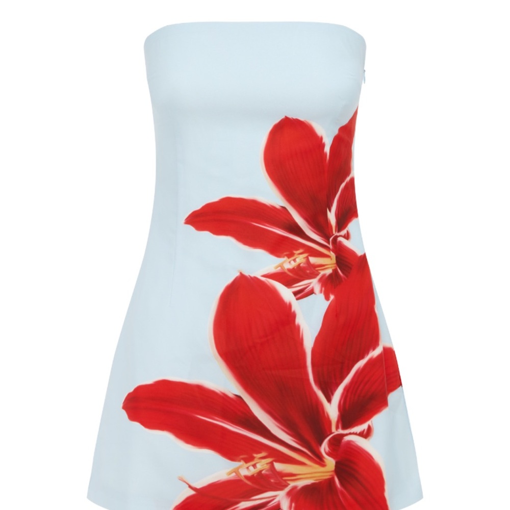 Strapless Light Blue Mini Dress with Red Floral Print